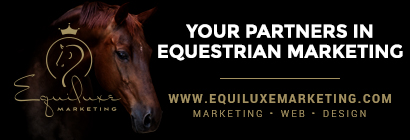 Equiluxemarketing