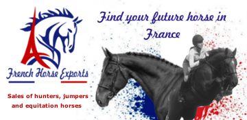 French Horse Exports