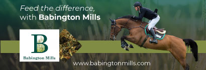 Babington Mills