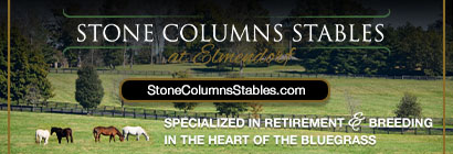 Stone Columns Stables