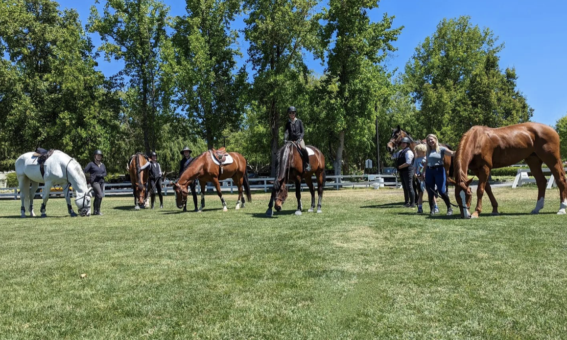 A group of adult amateur riders spending their Saturday morning at Round Meadow Farm. Photo courtesy of Nicole Norris 