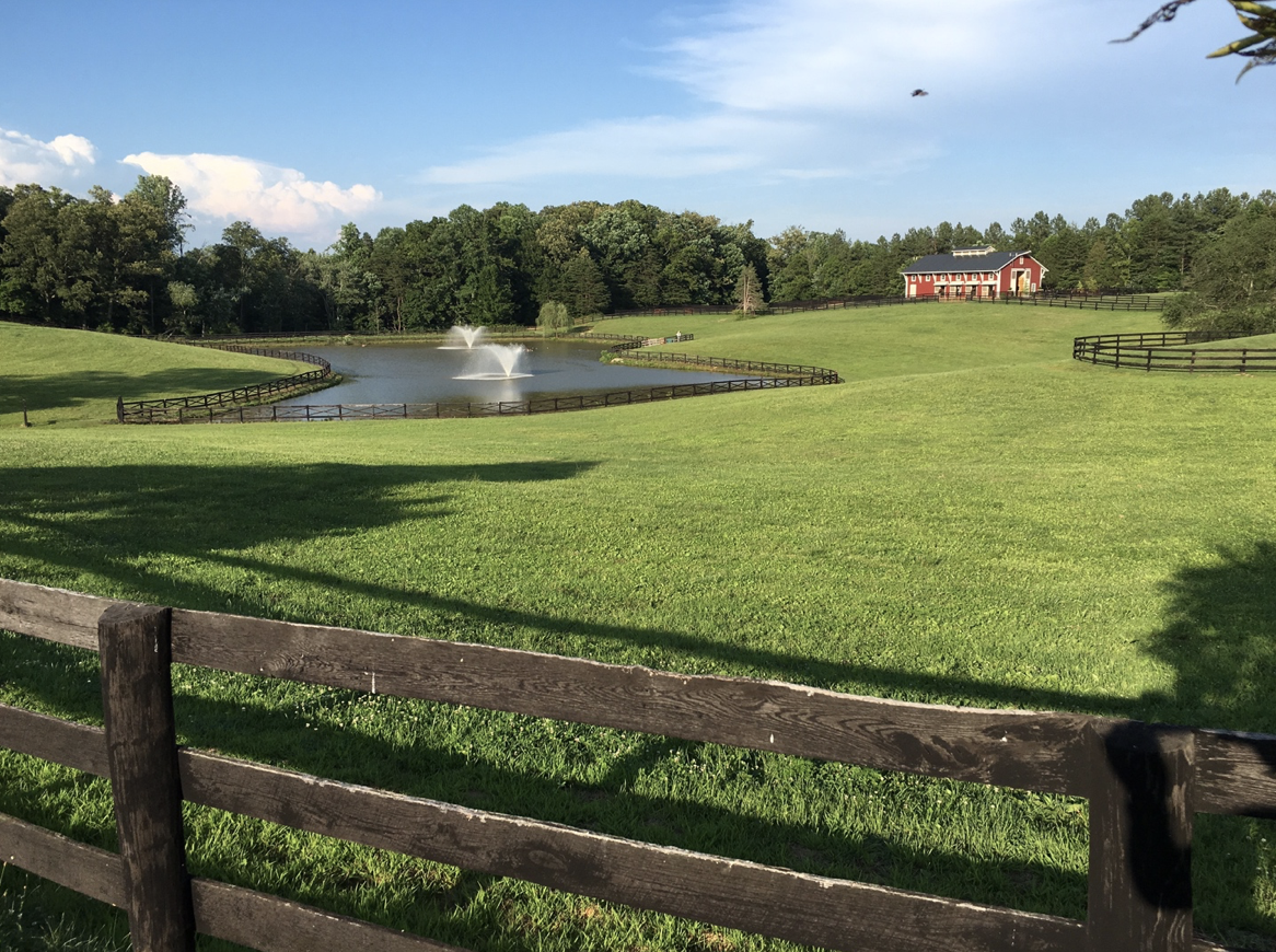 A view of the pastures, pond, and a barn at Hyperion Stud. Photo: Hyperion Stud