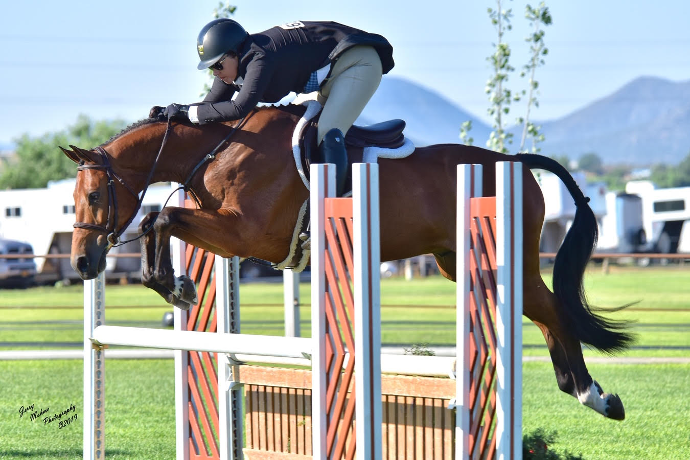 DaVinci owned by Barbara Carrapa in the Santa Fe Sonrisa week Hunter derby 2019