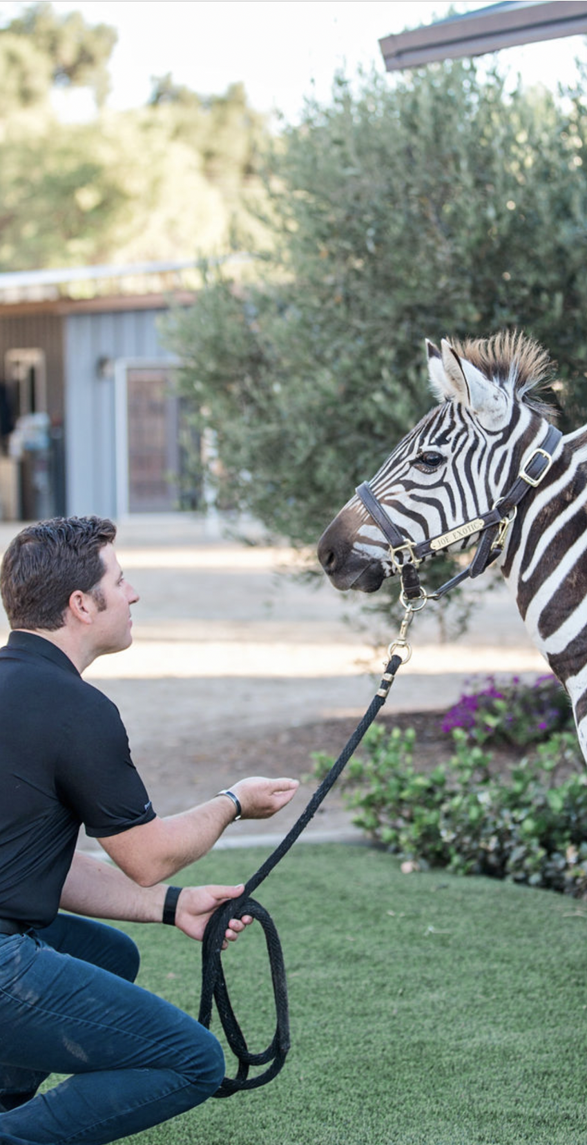 Nick and his zebra at home. There are over 50 rescue animals living at Hunterbrook Farms. Photo: Simplee Focused.