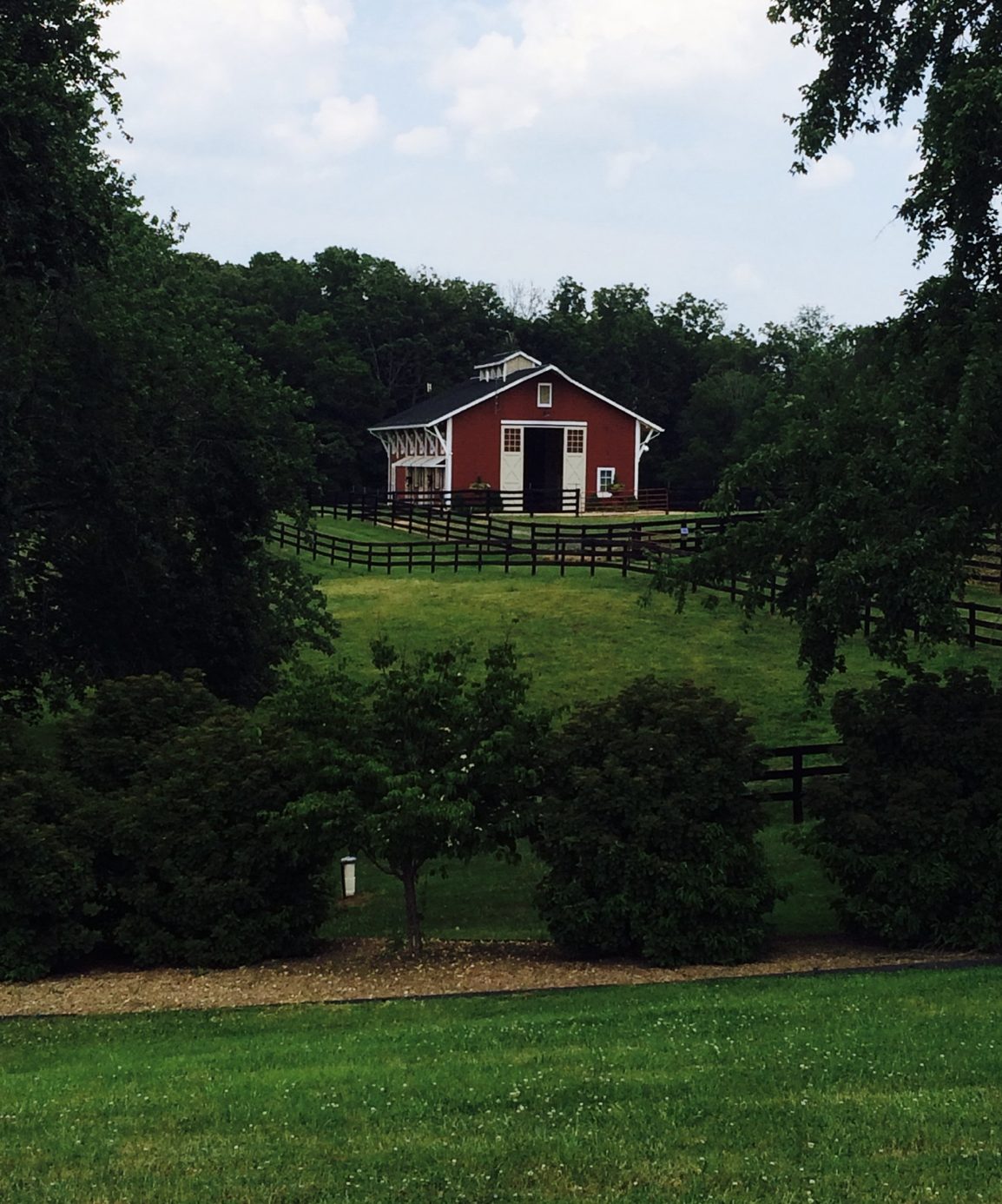 One of the barns and pastures at Hyperion Stud. Photo: Hyperion Stud