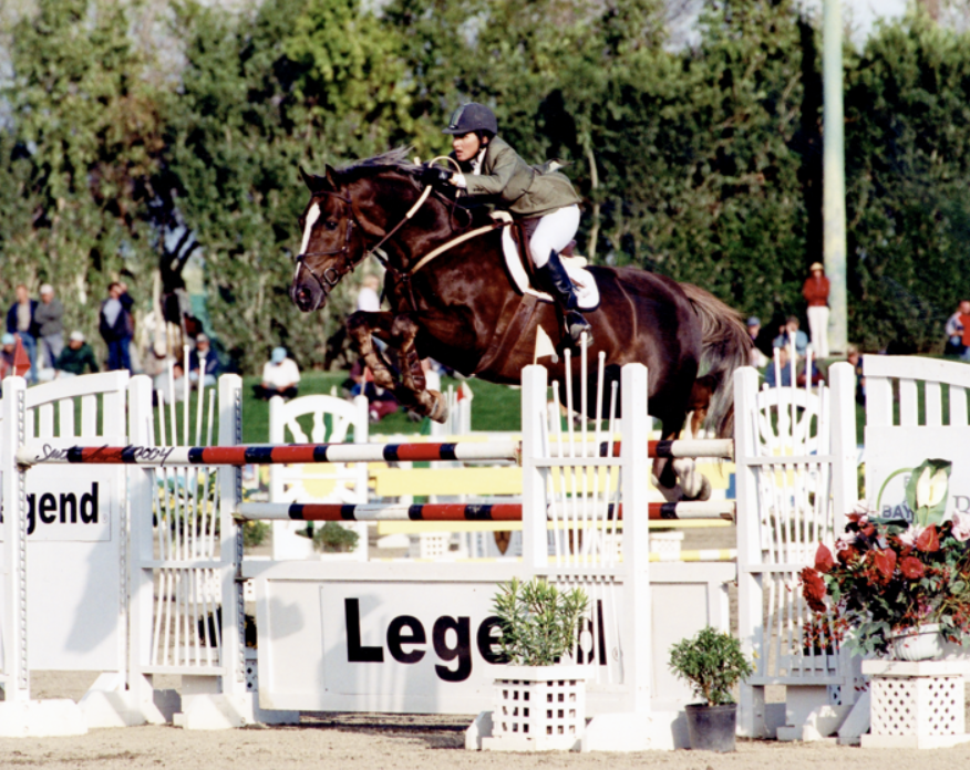 Osilvis, Julie’s flagship stallion and main Grand Prix horse as well as the sire of countless offspring that were successful in the hunter and jumper rings. Photo courtesy of Julie Winkel.