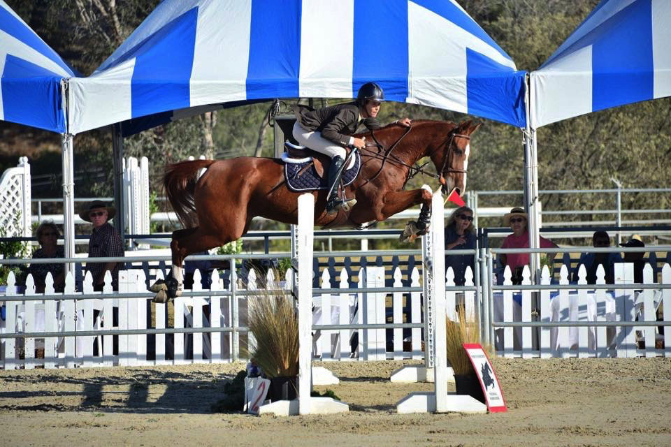 Jenni McAllister and Sanita PJ in the Portuguese Bend Charity Horse Show. Photo Credit: James Sabel