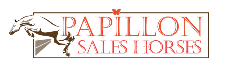 Papillon Sales Horses