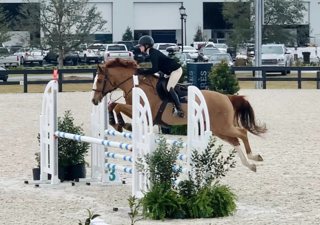 Petschenig Show Jumping clients and their horses at various events this spring. All photos courtesy of Petschenig Show Jumping LLC.