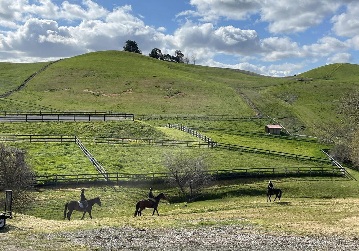 Riders hacking at home. Photo: Kelly Maddox