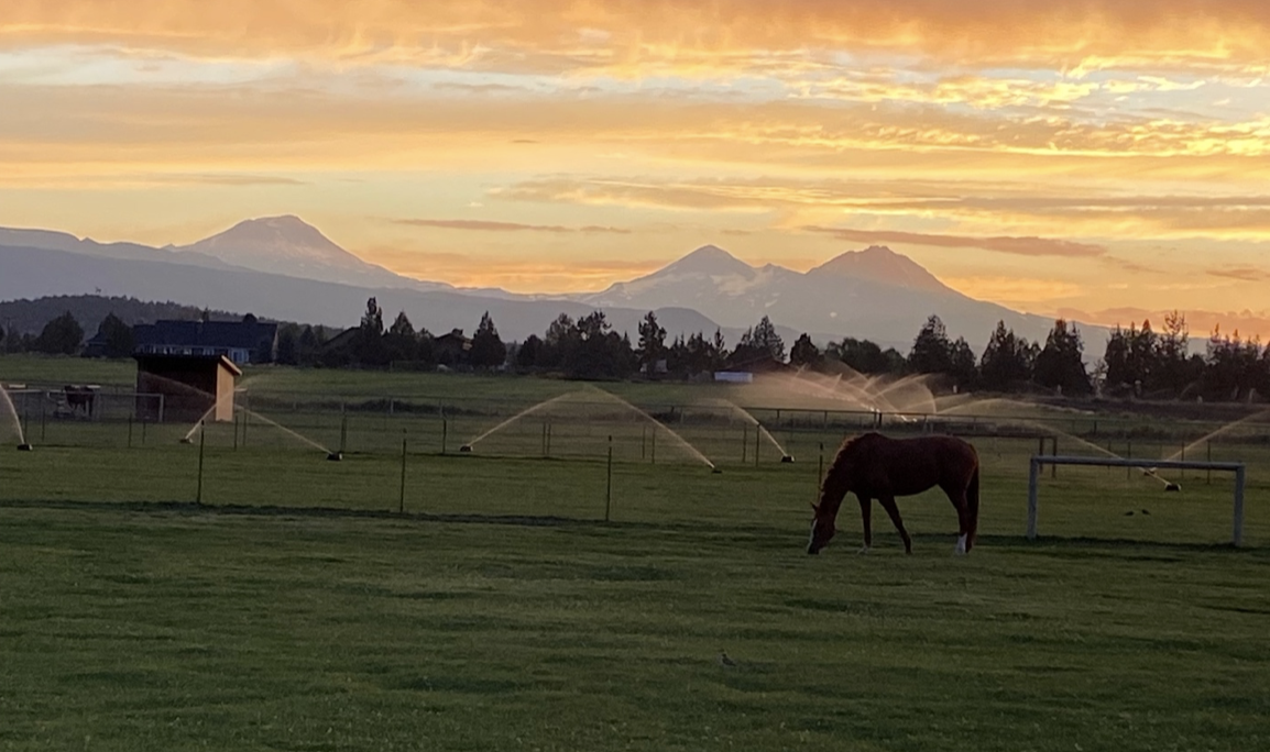 Sunset at Some Day Farm. Photo courtesy of Wendy Krohn.