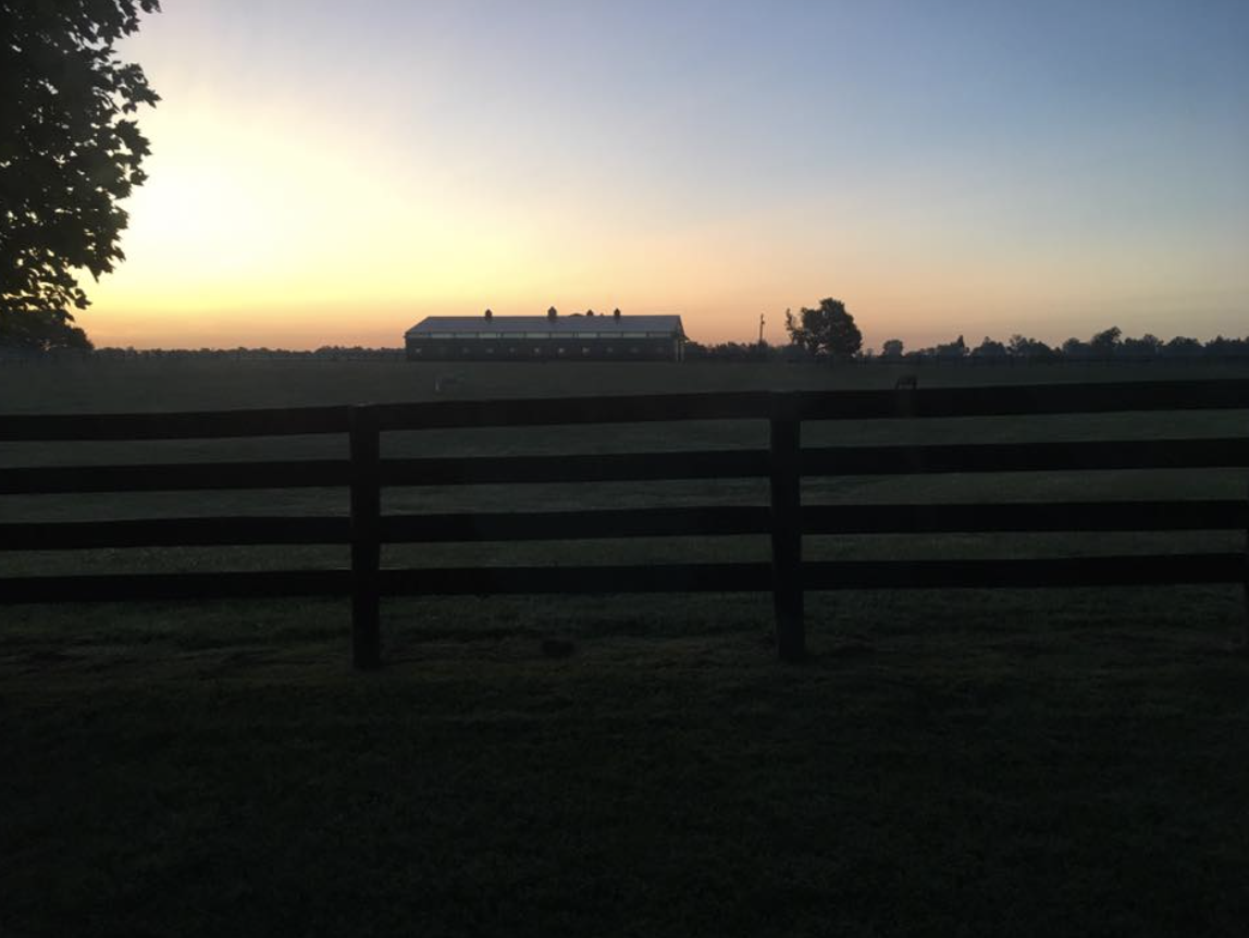 The barn at Olive Hill Sporthorses in the morning. Photo courtesy of Diana Conlon.