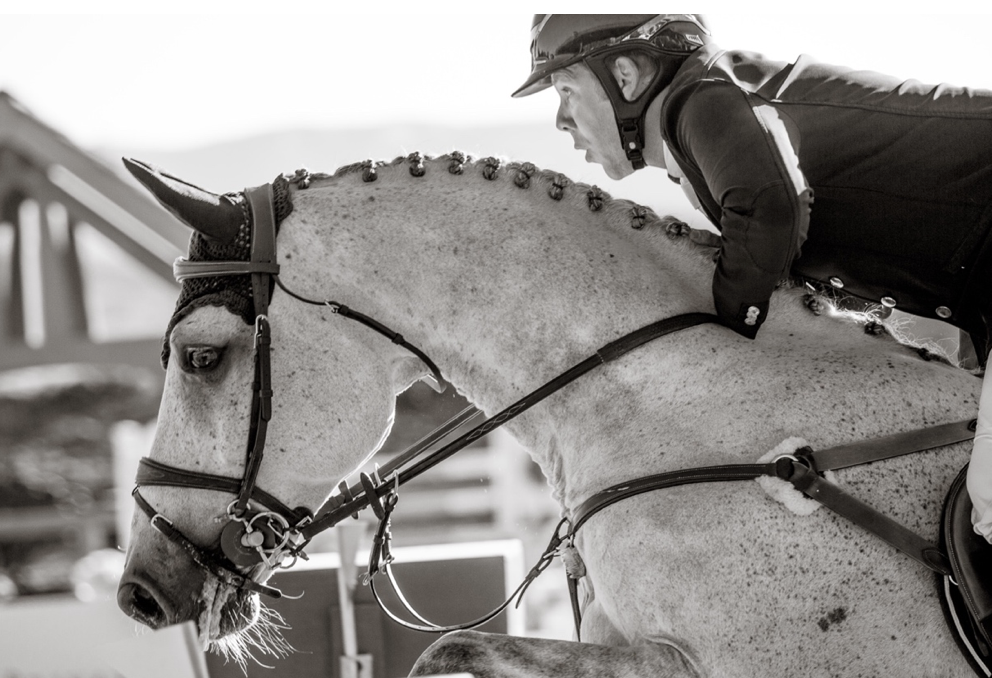 The close up of horse and rider says it all! Tara loves capturing these closeups (of both horse and rider) over the jumps.