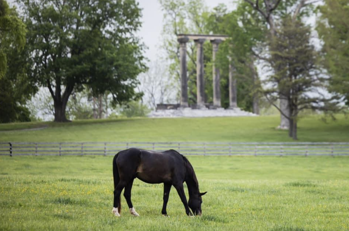 The iconic columns the farm is named for.