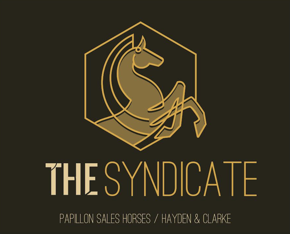 The logo for The Syndicate.