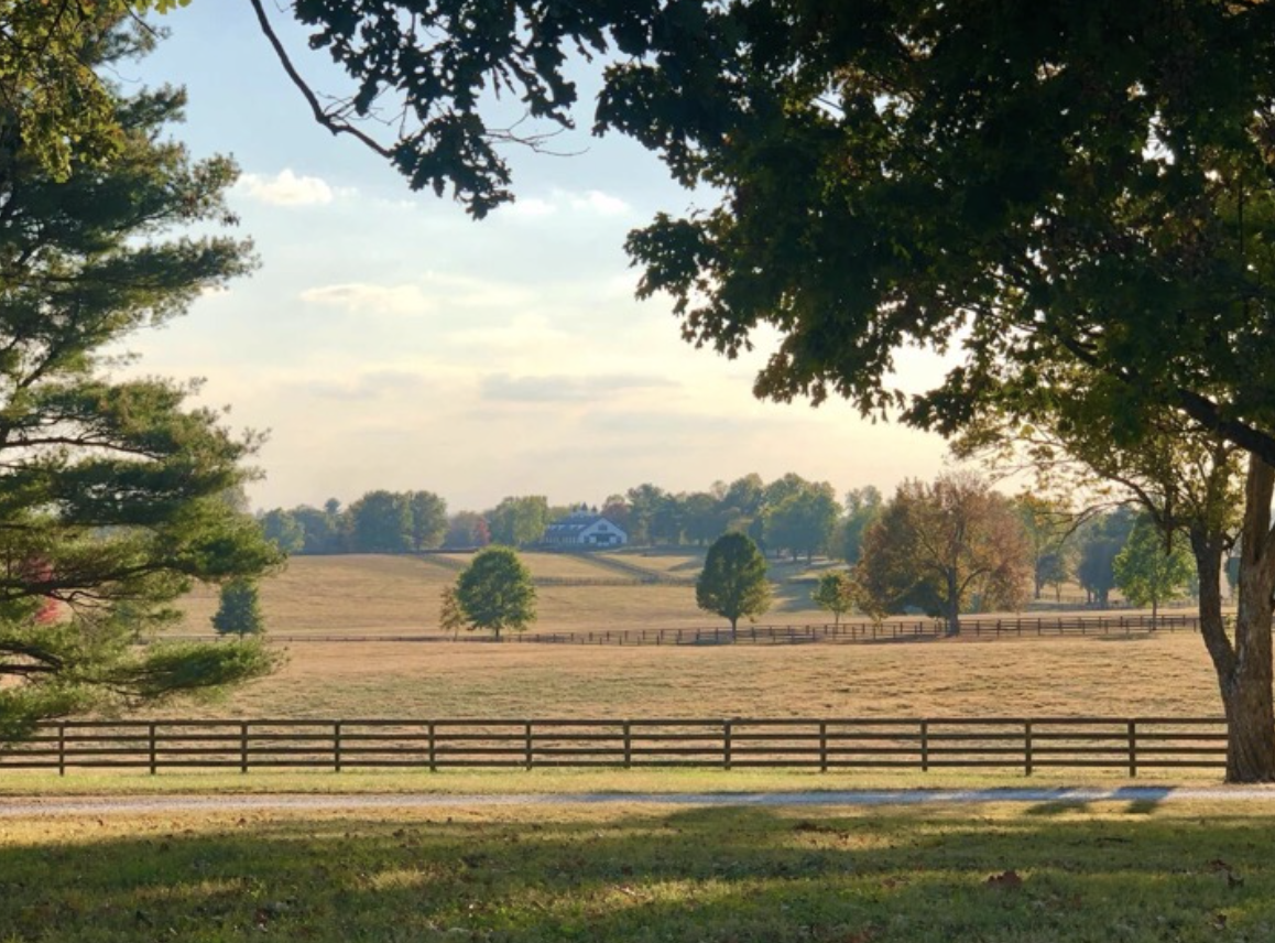 Tranquility on the Elmendorf property.