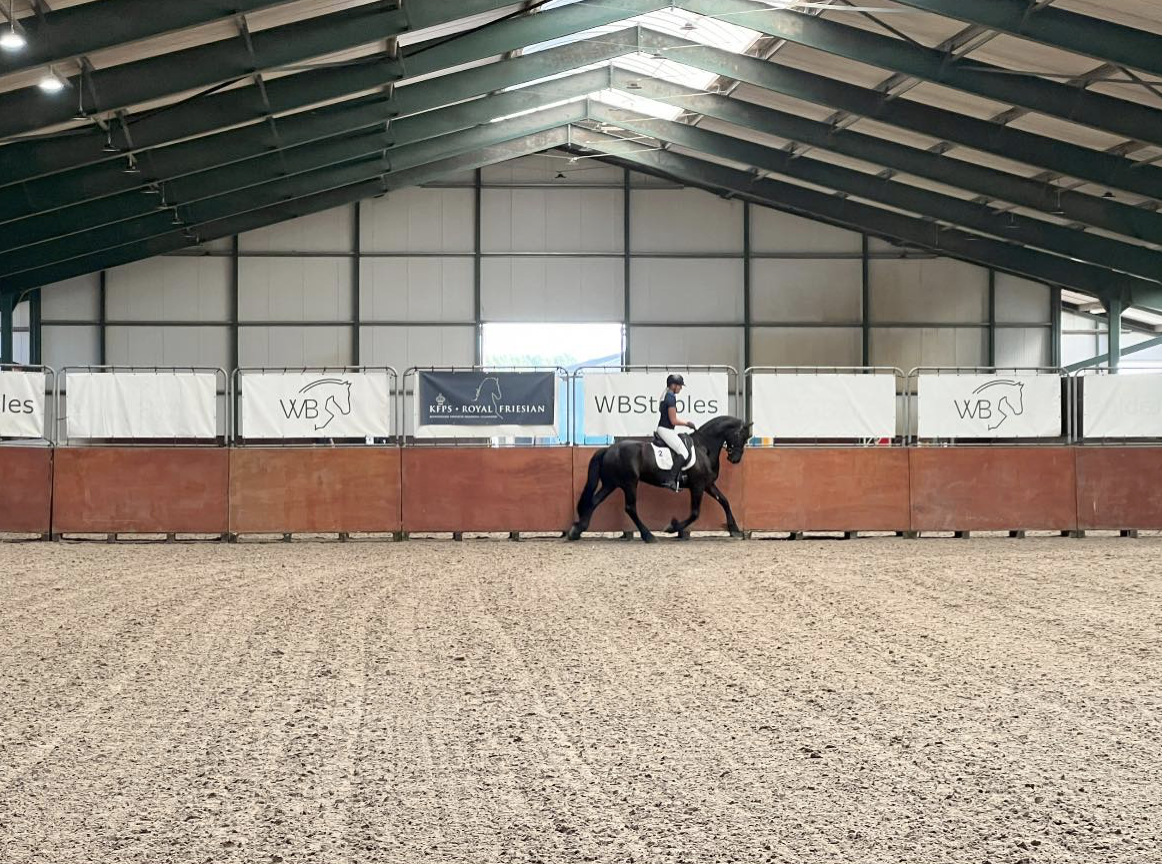 WB Stables Show Jumping and Sporthorses