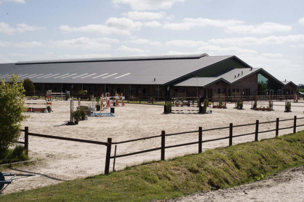 WB Stables Show Jumping and Sporthorses