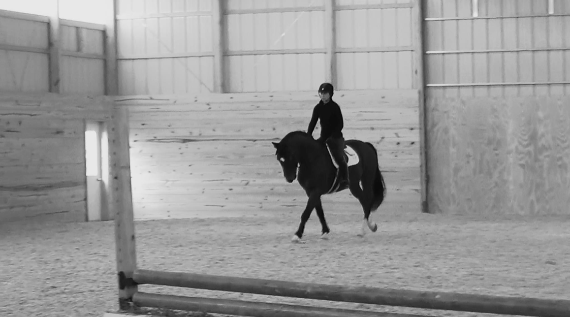 Working in the indoor arena. Photo courtesy of Diana Conlon.