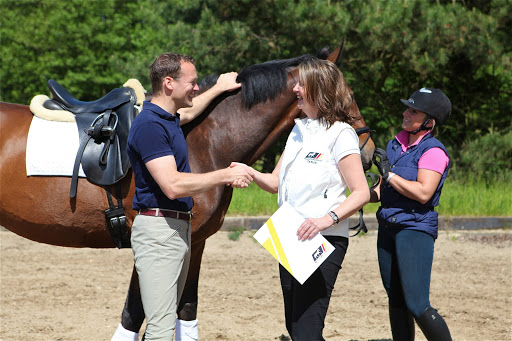 Personal Guided Horse Tour with German Horse Center.