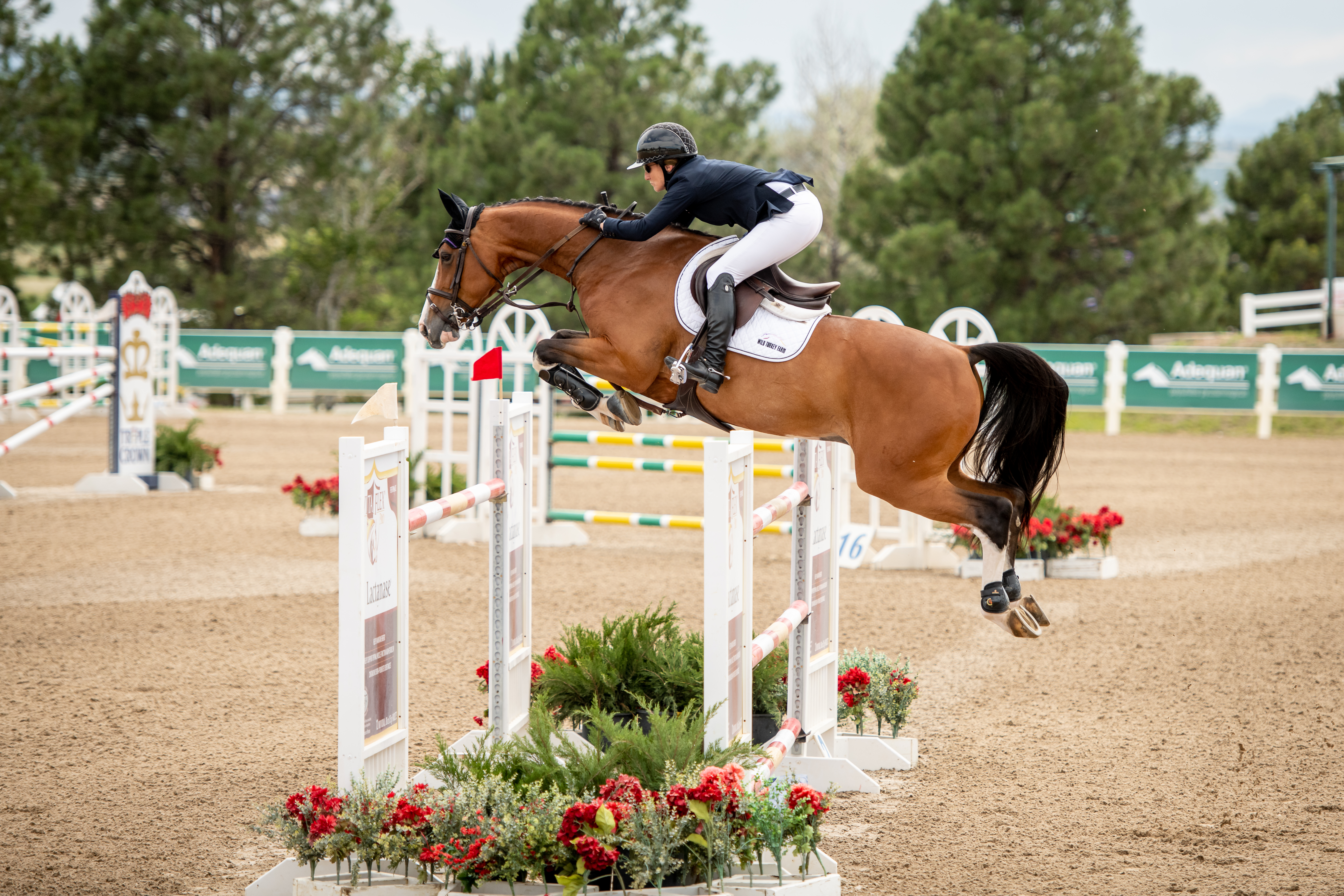 Mandy Porter and WT Ca-Pow! Photos by White Fence Equine Photography