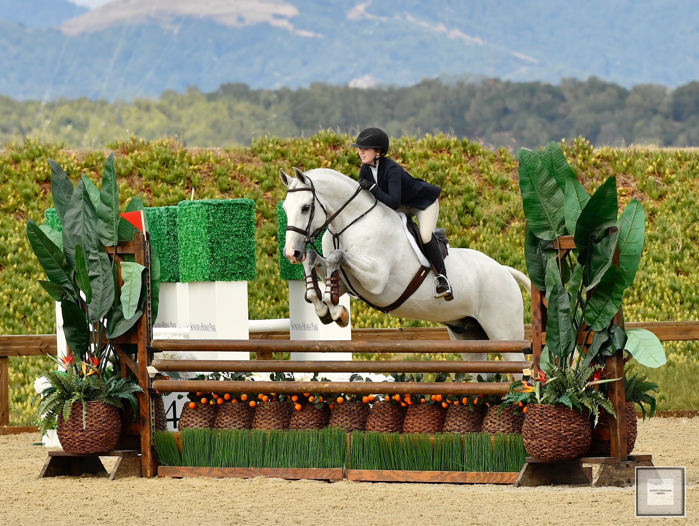 Student Skyler Allen and Winterfell at Sonoma Horse Park. Photography by Alden Corrigan Media​​​​​​​