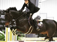 Freestyling Farms showing at World Equestrian Center  