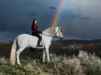 Ashley and Andalusion stallion under the rainbow