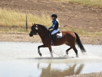 Eventing WY