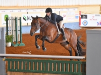 Texas Detail at the 2019 AQHA World Show in Amateur Equitation Over Fences