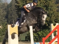 As four yr old. Training in September 2019