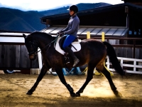 No stirrup November is very easy on Kaleesi with her smooth trot!