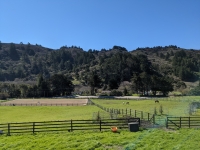 5 acre pasture and large arena
