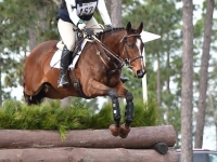 Elhanan Equestrian Eventing Sport Horses
