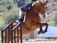 Equitation with catch rider 