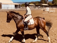 Fable Cantering