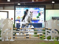 jumper or equitation horse for sale or lease. Bring any rider from small jumps through 1.10m