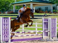 Beatrice KHF showing at the Colorado Horse Park