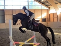 First jump under saddle