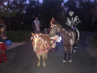 trick-or-treating
