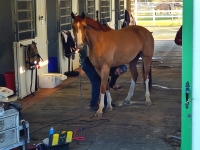 Getting body clipped 