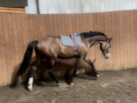 Jax trot