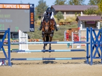 Jumping oxer