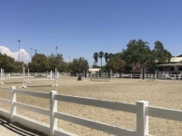 Arena with show footing