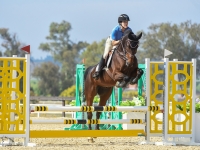 “Emillion” with A/A owner/rider in Temecula 