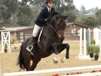 Cupcake and junior rider