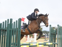 Paso Schooling Show - Spring 2023