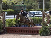 Woodland's Sweetie Pie