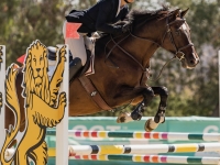 canterino_jumpers_2.jpg