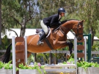 Trulli Hunter 